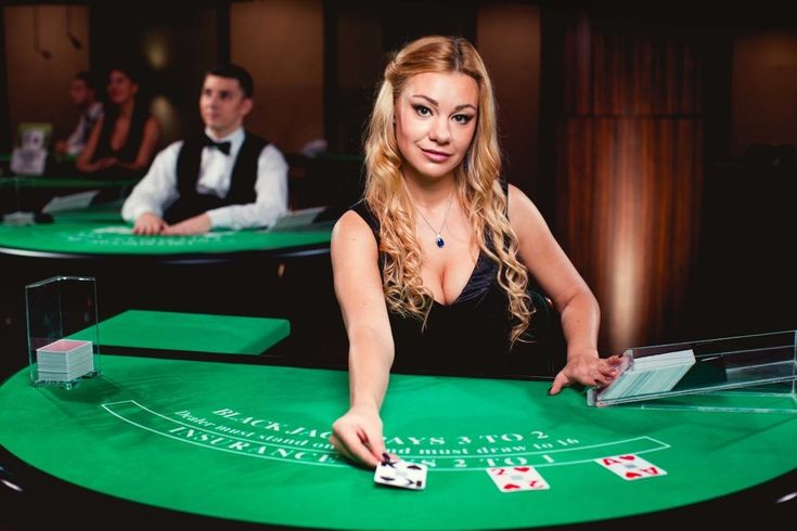 pakrummycom Live Casino